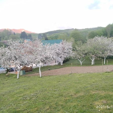 קולאסין Apartments & Rooms Bojic מראה חיצוני תמונה
