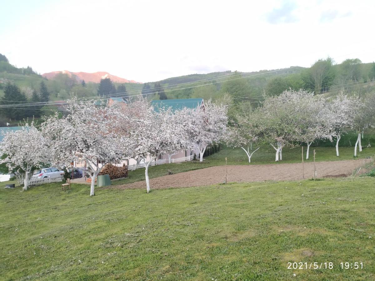 קולאסין Apartments & Rooms Bojic מראה חיצוני תמונה